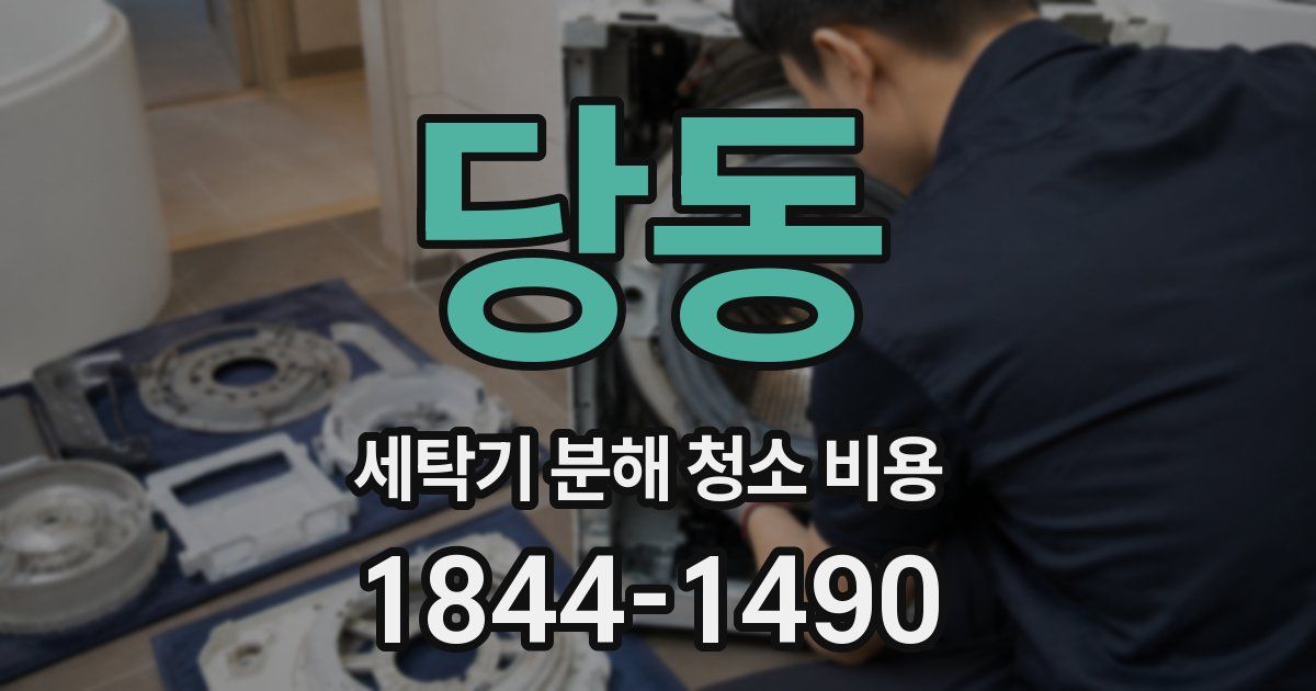 당동 세탁기 분해 청소 비용