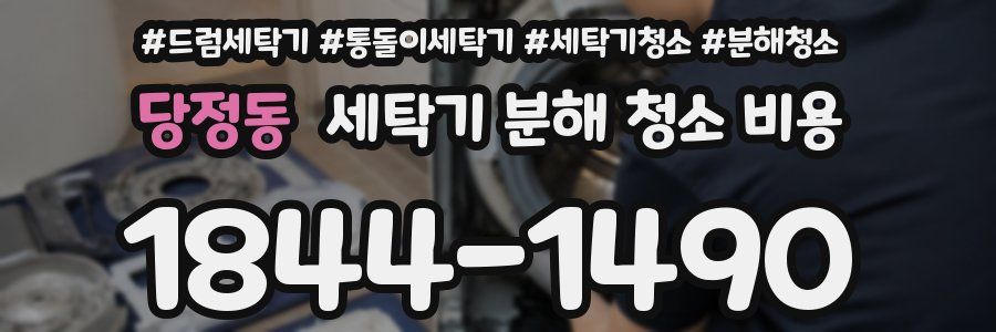 당정동 세탁기 분해 청소 비용