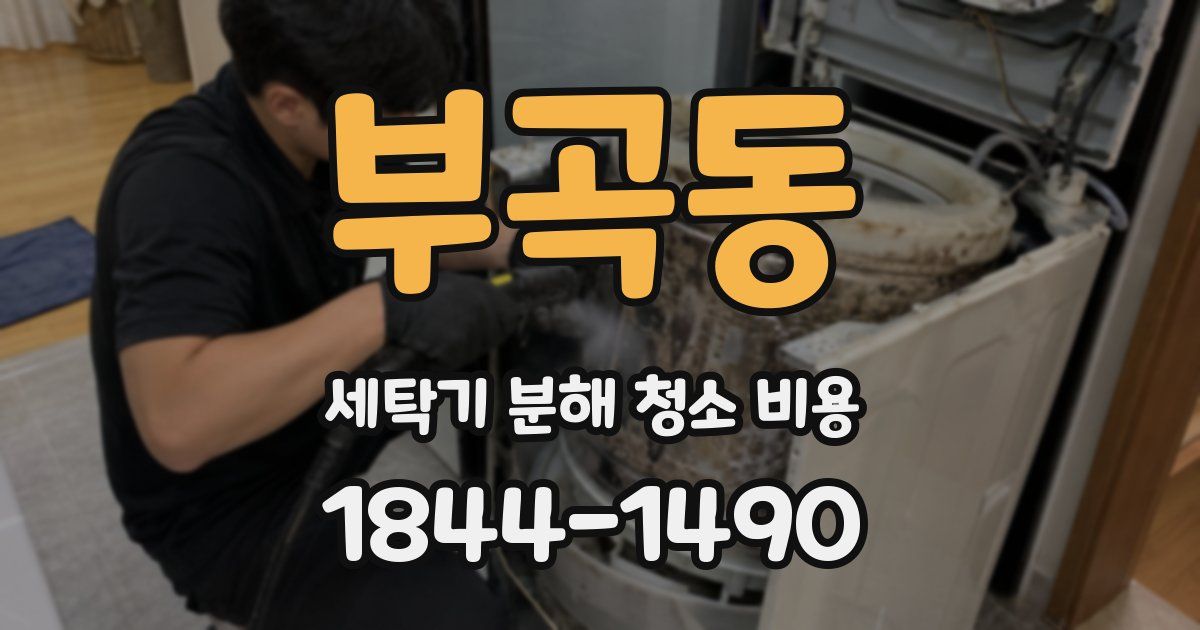 부곡동 세탁기 분해 청소 비용