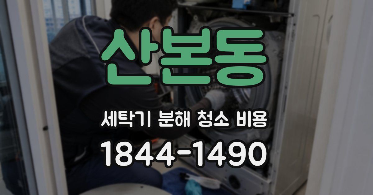 산본동 세탁기 분해 청소 비용