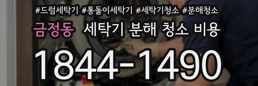 금정동 세탁기 분해 청소 비용