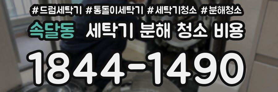 속달동 세탁기 분해 청소 비용