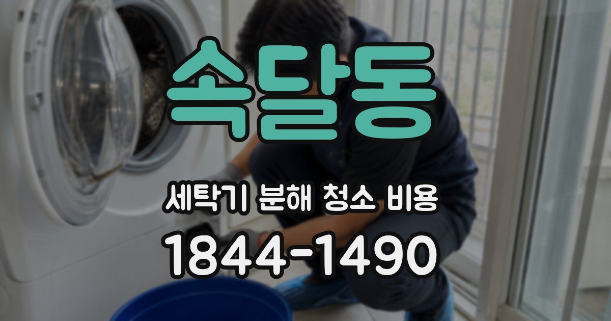 속달동 세탁기 분해 청소 비용