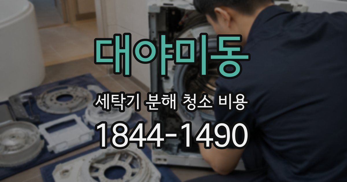 대야미동 세탁기 분해 청소 비용