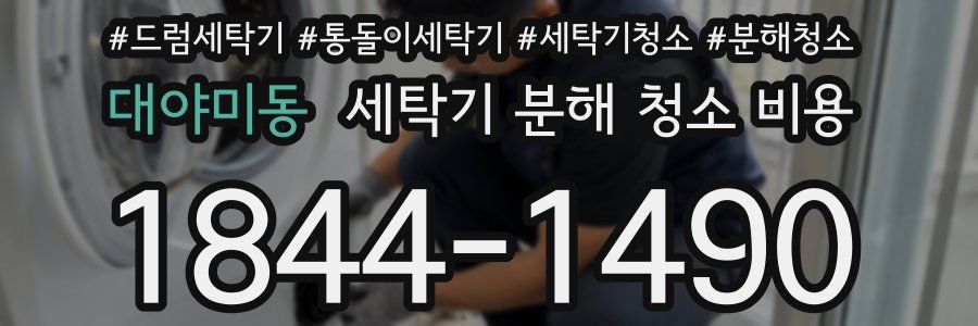 대야미동 세탁기 분해 청소 비용