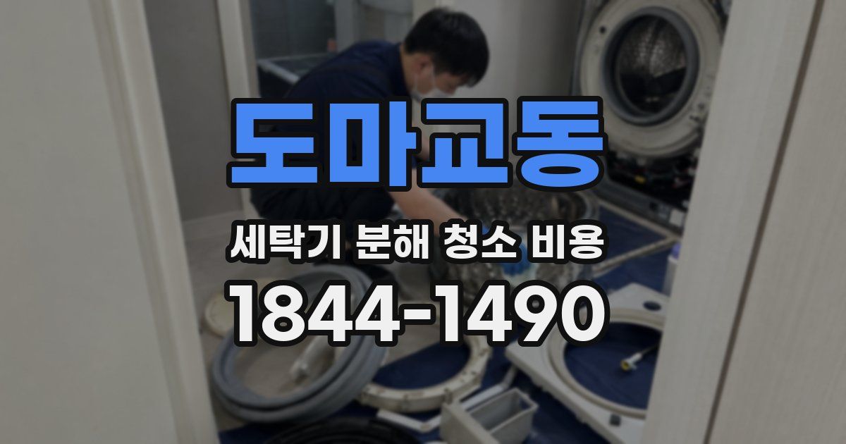 도마교동 세탁기 분해 청소 비용