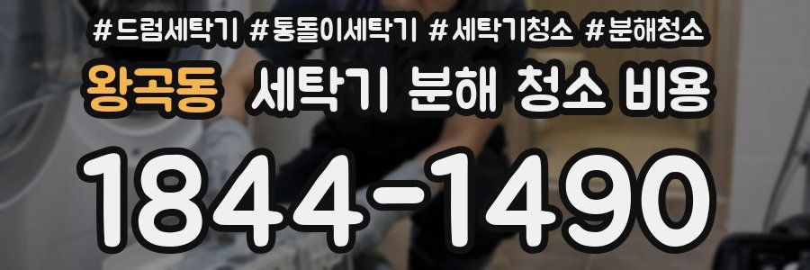 왕곡동 세탁기 분해 청소 비용