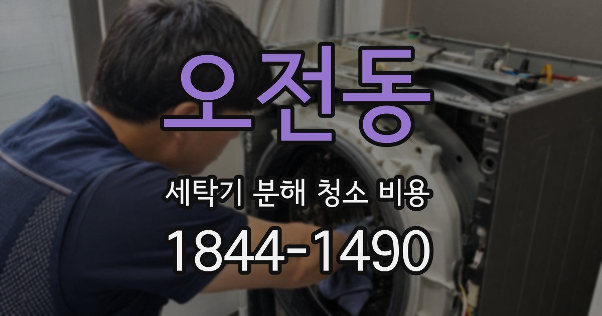 오전동 세탁기 분해 청소 비용