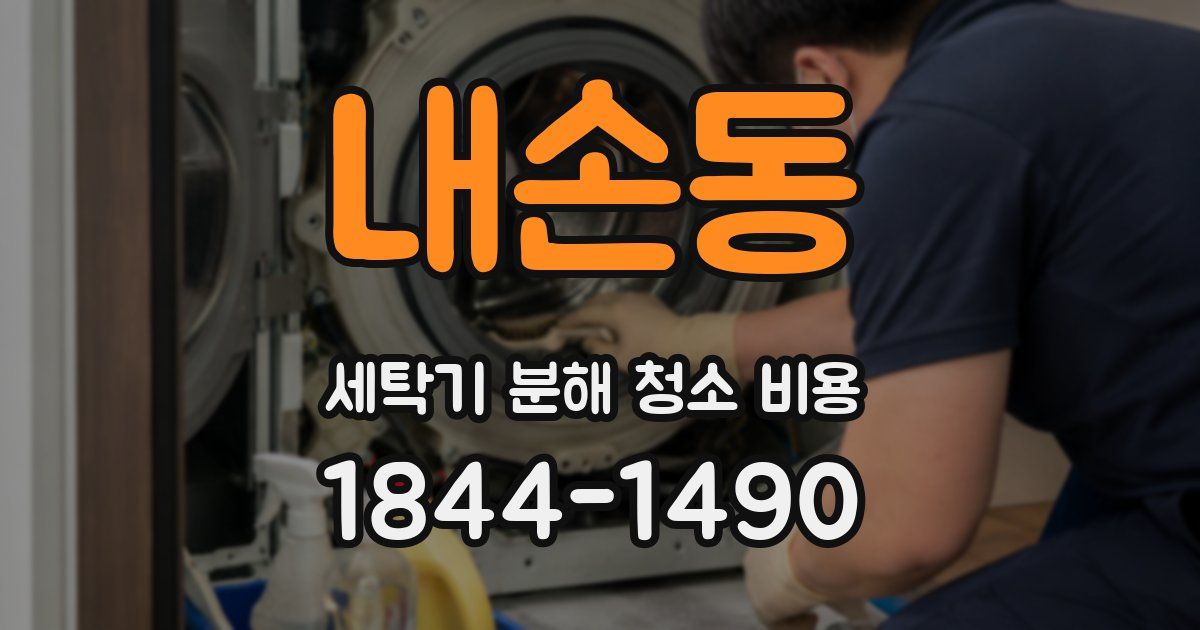 내손동 세탁기 분해 청소 비용