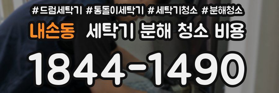 내손동 세탁기 분해 청소 비용