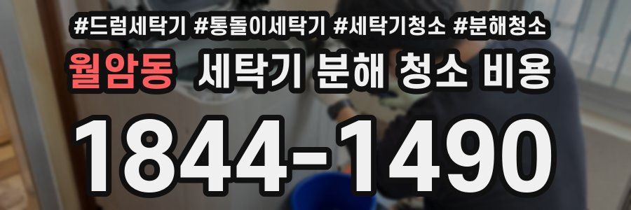 월암동 세탁기 분해 청소 비용