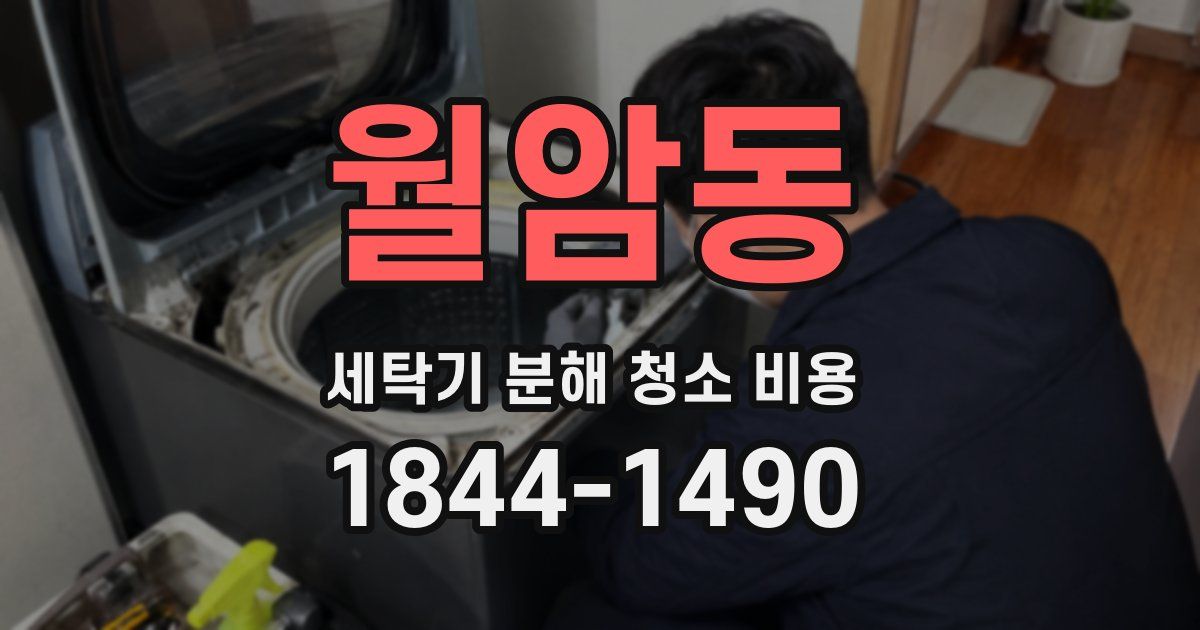 월암동 세탁기 분해 청소 비용
