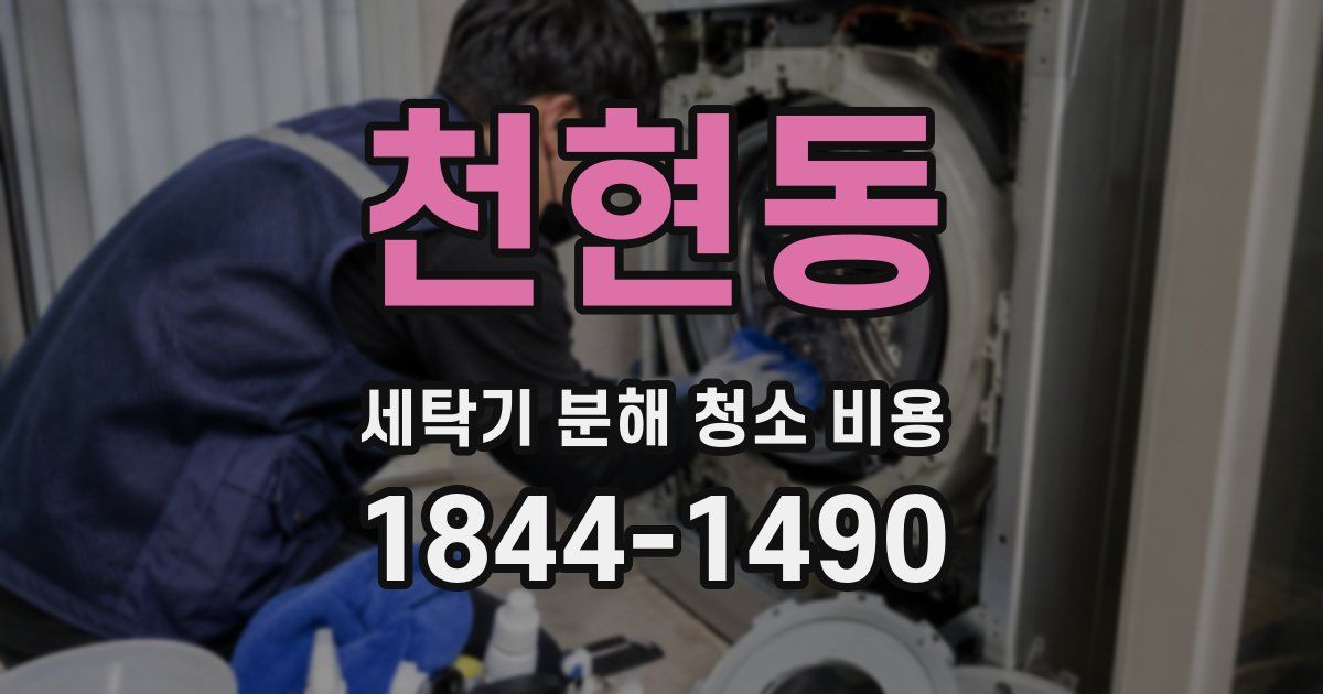 천현동 세탁기 분해 청소 비용