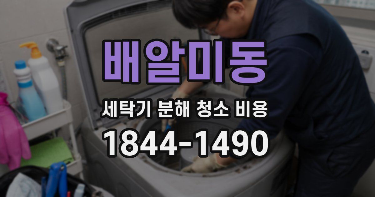 배알미동 세탁기 분해 청소 비용