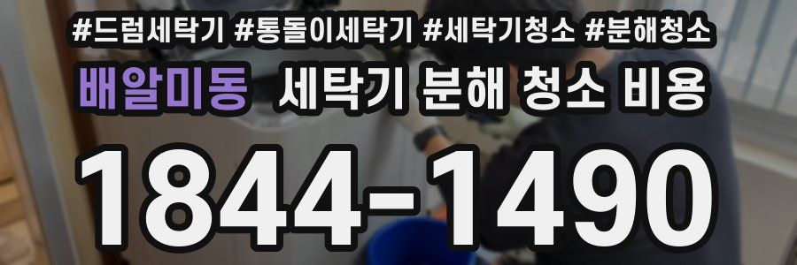 배알미동 세탁기 분해 청소 비용