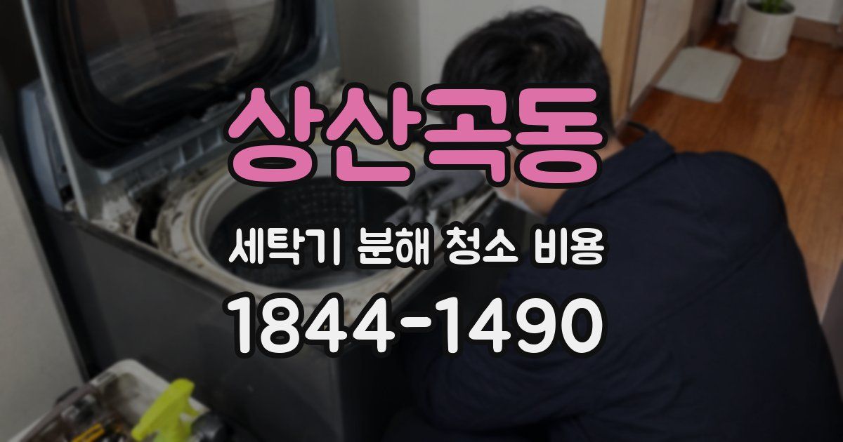상산곡동 세탁기 분해 청소 비용