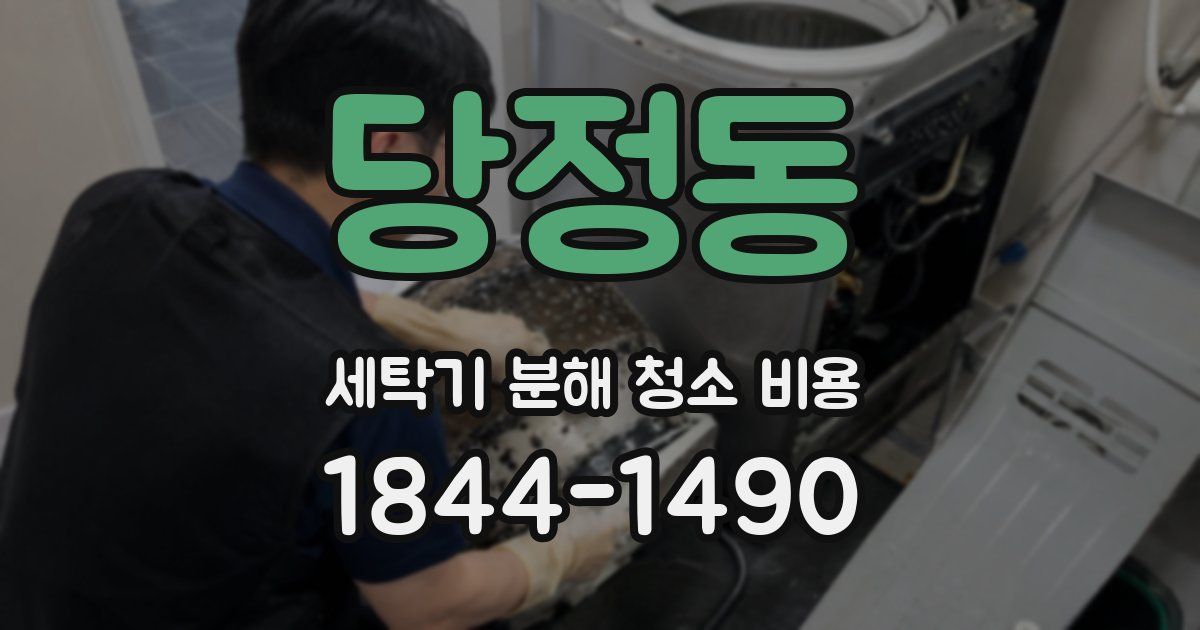 당정동 세탁기 분해 청소 비용