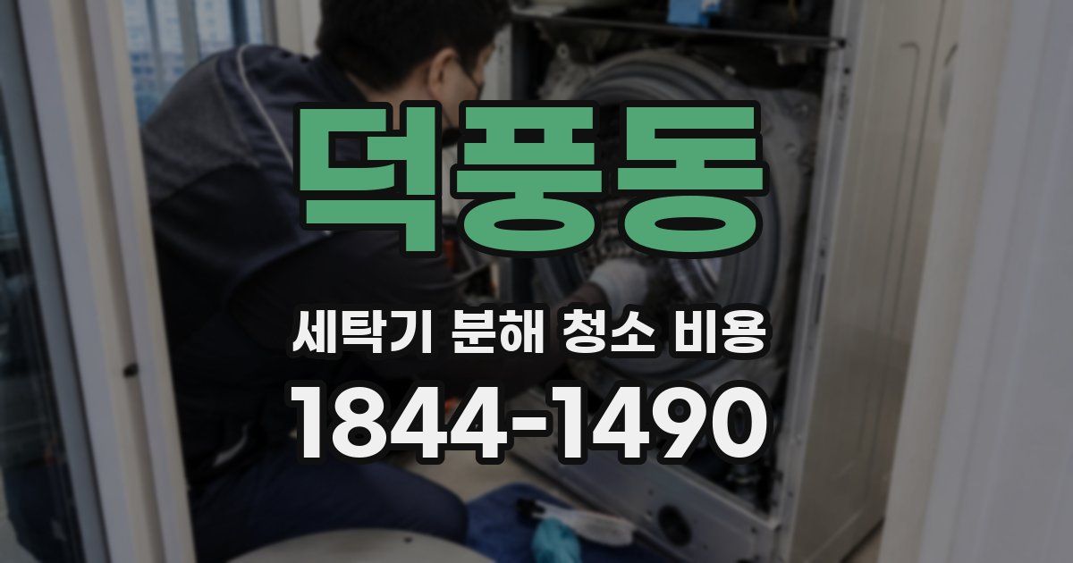 덕풍동 세탁기 분해 청소 비용