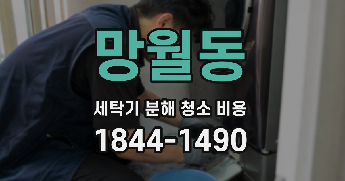 망월동 세탁기 분해 청소 비용