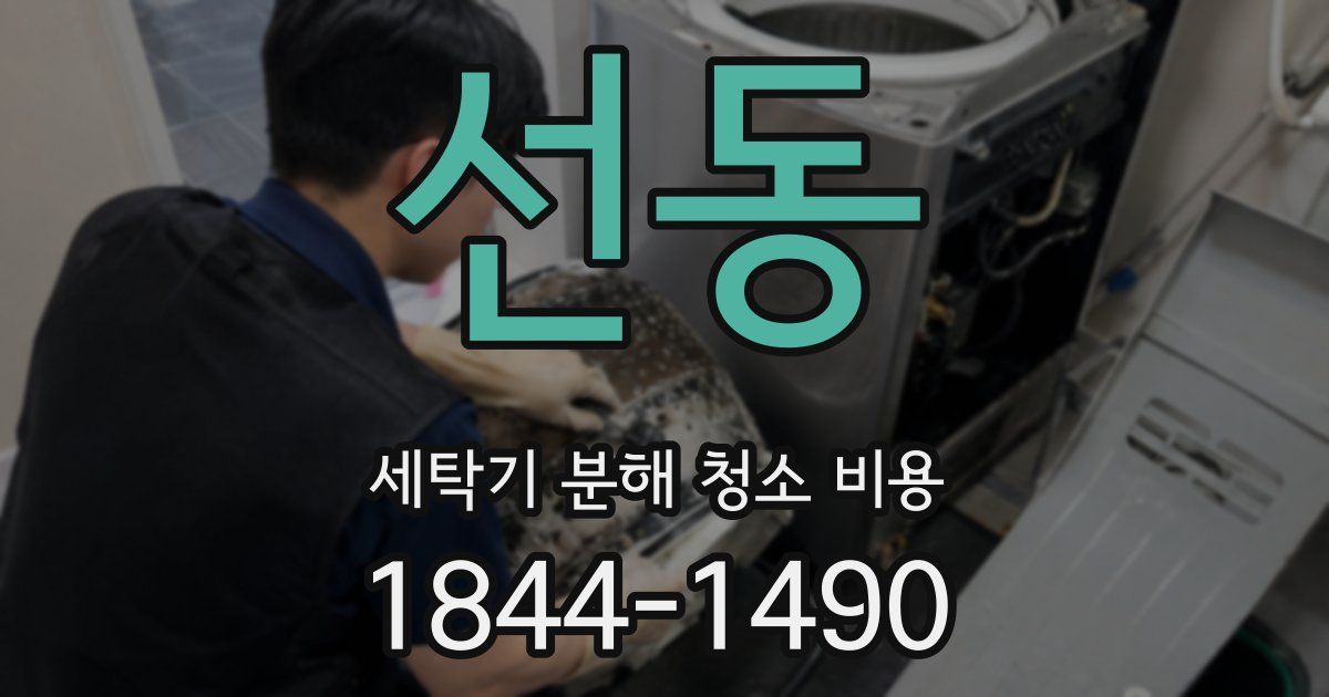 선동 세탁기 분해 청소 비용