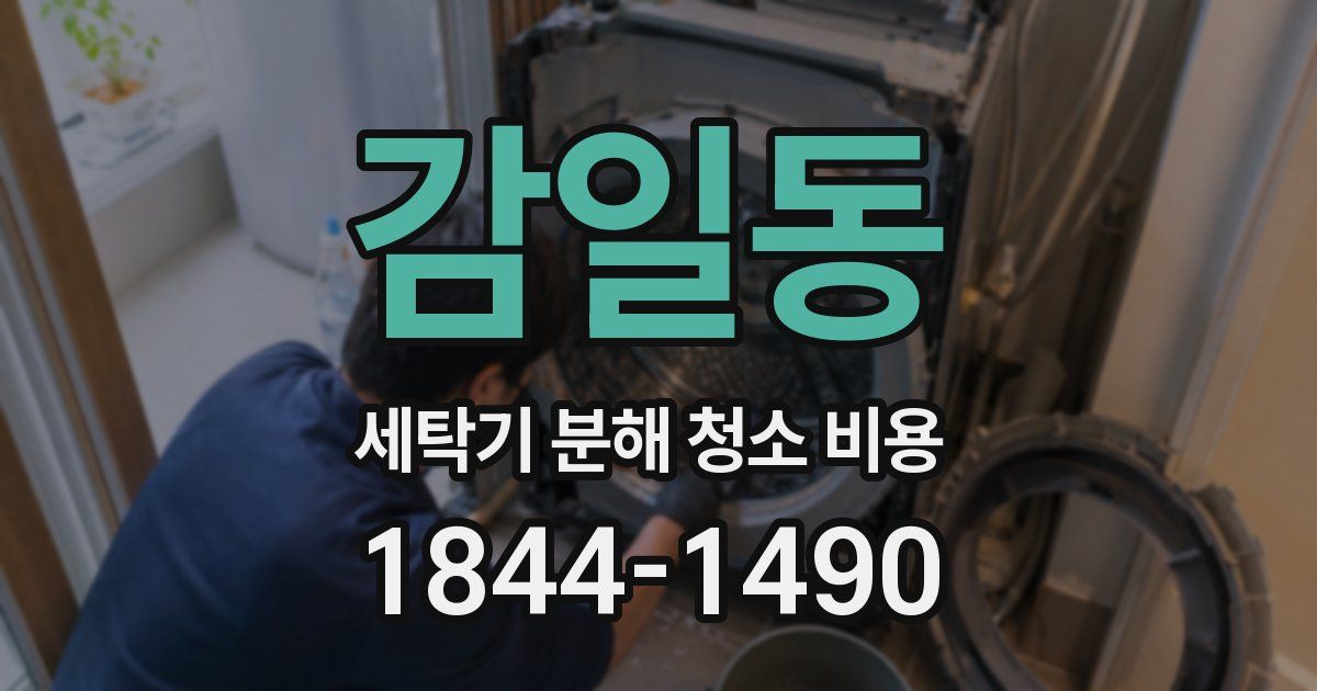 감일동 세탁기 분해 청소 비용