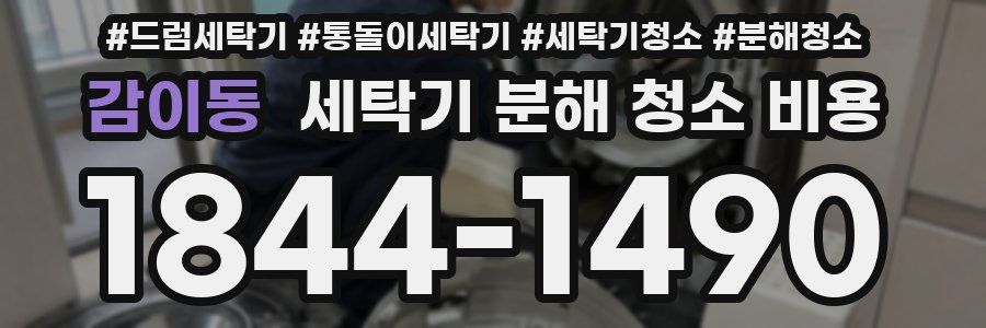 감이동 세탁기 분해 청소 비용