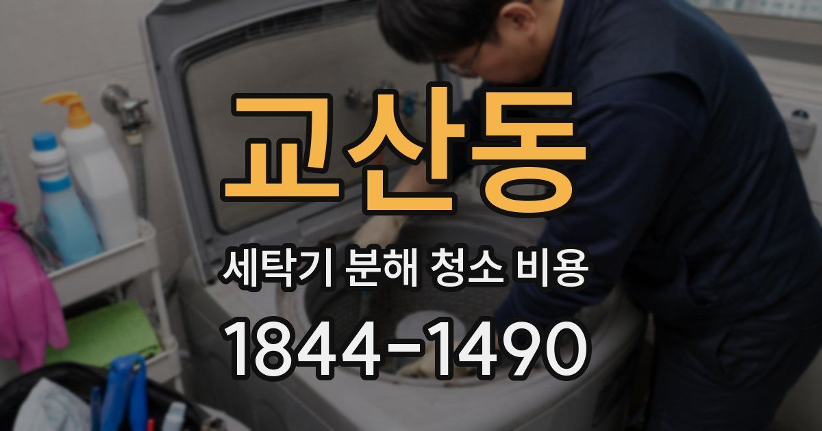 교산동 세탁기 분해 청소 비용