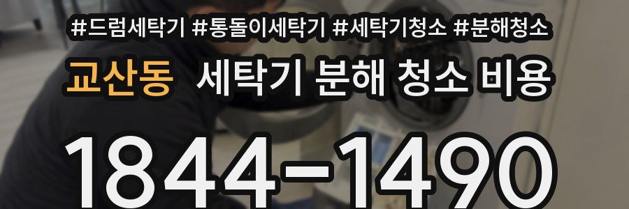 교산동 세탁기 분해 청소 비용