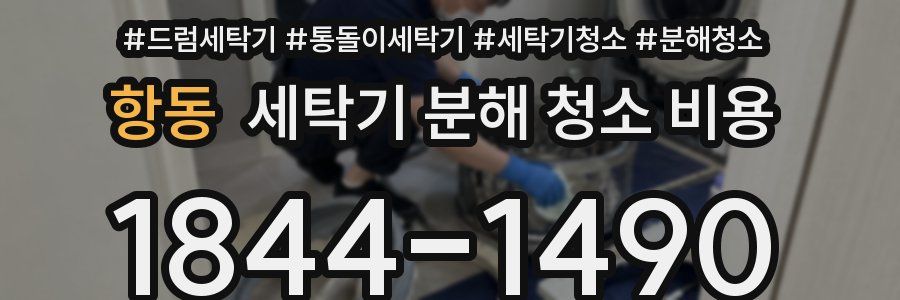항동 세탁기 분해 청소 비용