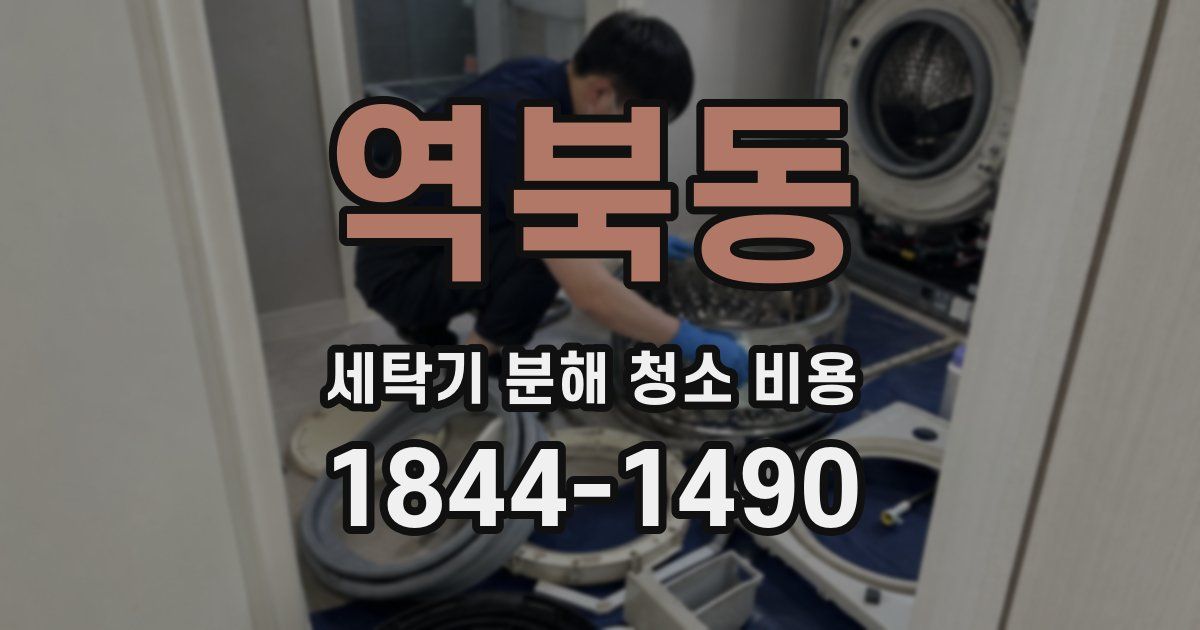 역북동 세탁기 분해 청소 비용