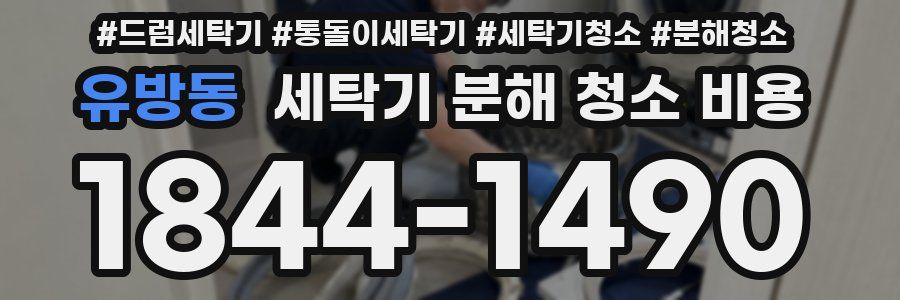 유방동 세탁기 분해 청소 비용