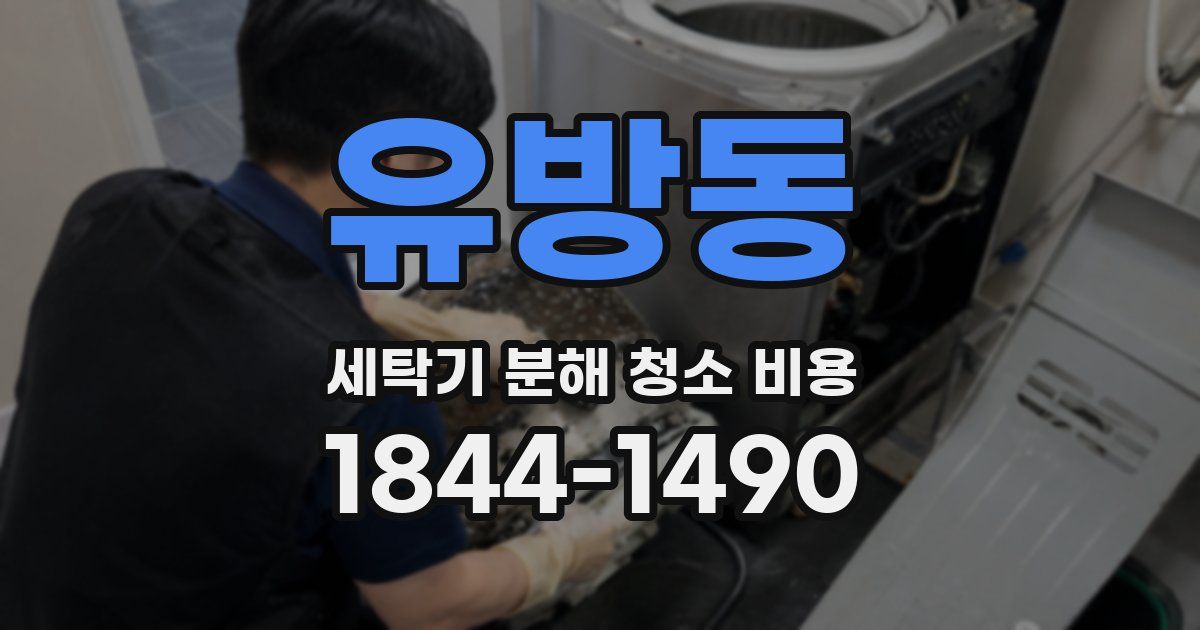 유방동 세탁기 분해 청소 비용