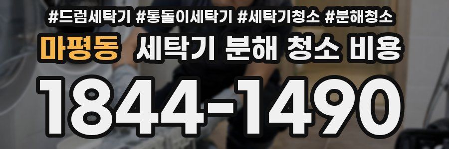 마평동 세탁기 분해 청소 비용