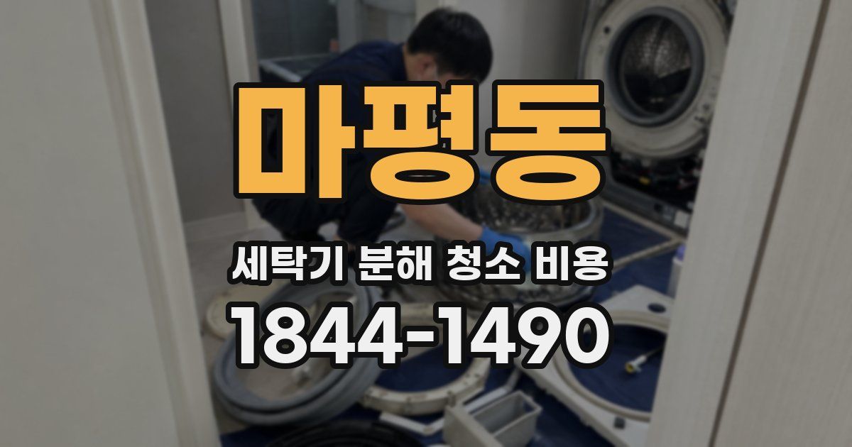 마평동 세탁기 분해 청소 비용