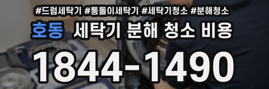 호동 세탁기 분해 청소 비용