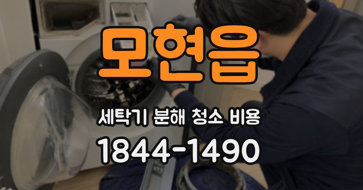 모현읍 세탁기 분해 청소 비용
