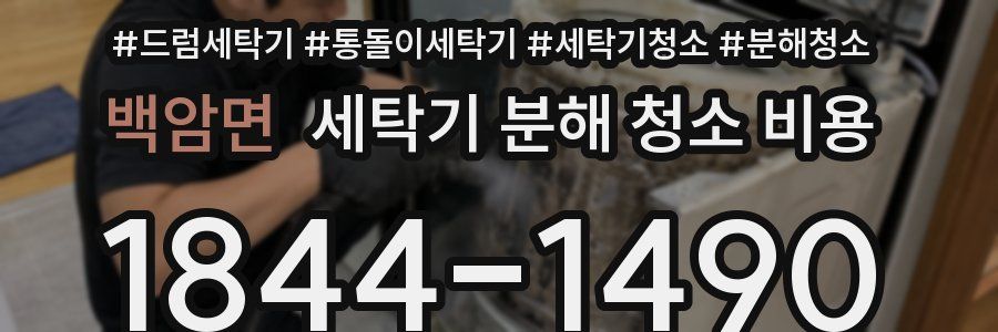 백암면 세탁기 분해 청소 비용