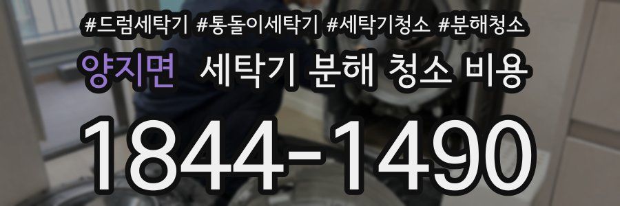 양지면 세탁기 분해 청소 비용