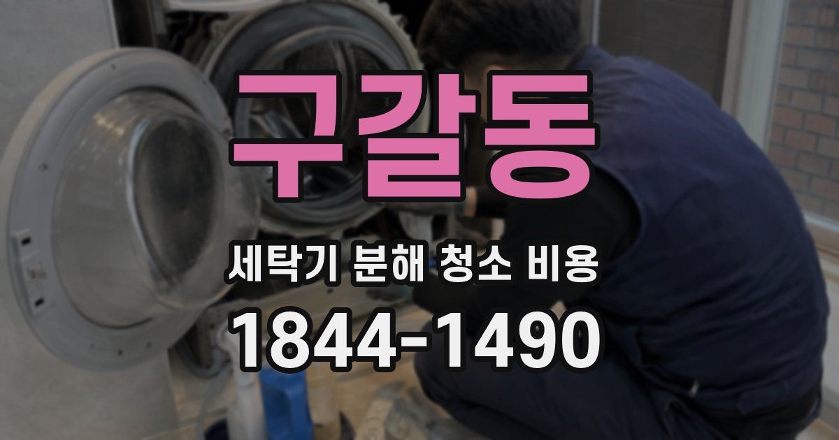 구갈동 세탁기 분해 청소 비용