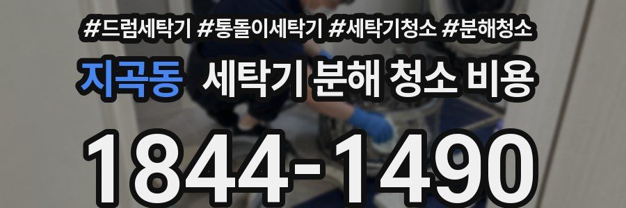 지곡동 세탁기 분해 청소 비용