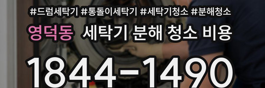 영덕동 세탁기 분해 청소 비용