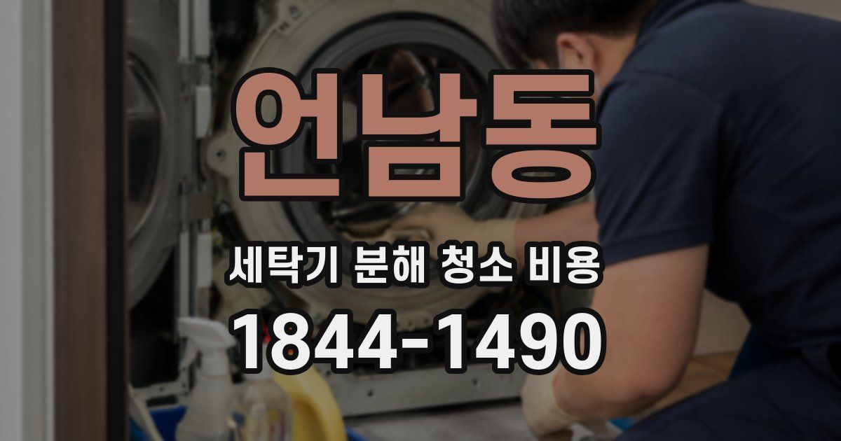 언남동 세탁기 분해 청소 비용