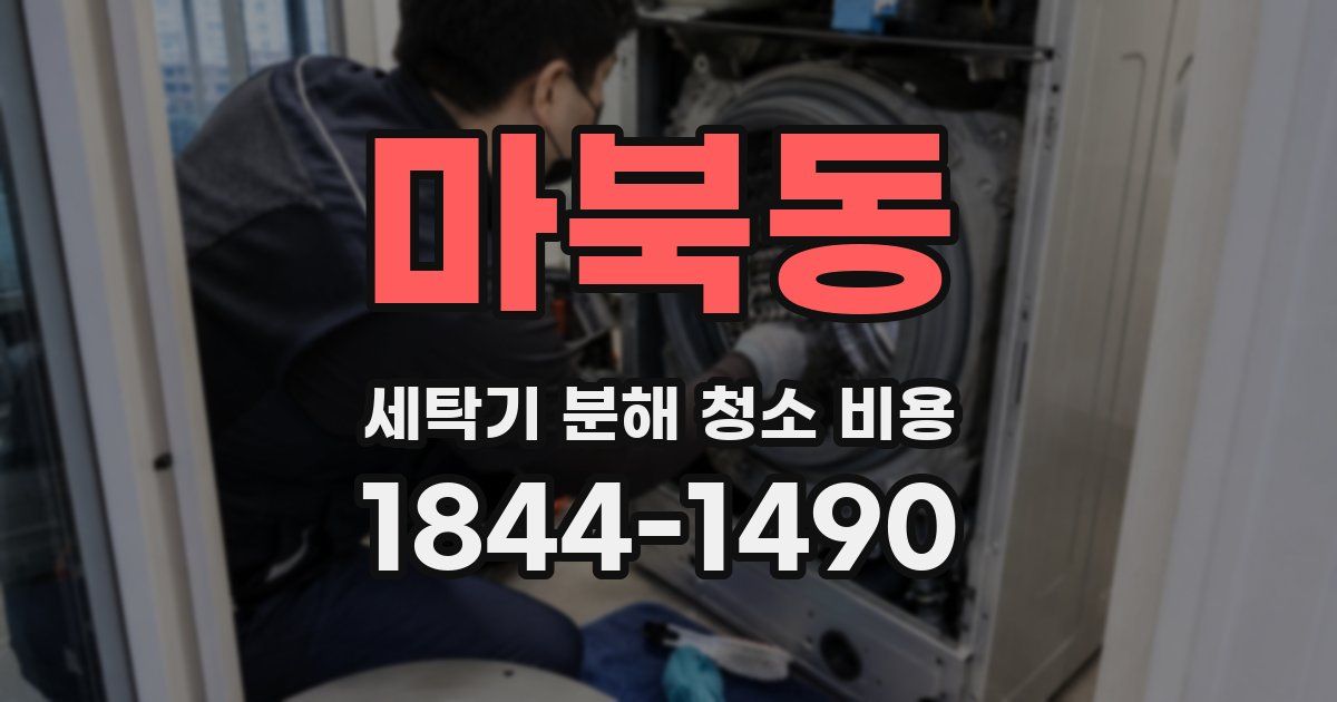 마북동 세탁기 분해 청소 비용