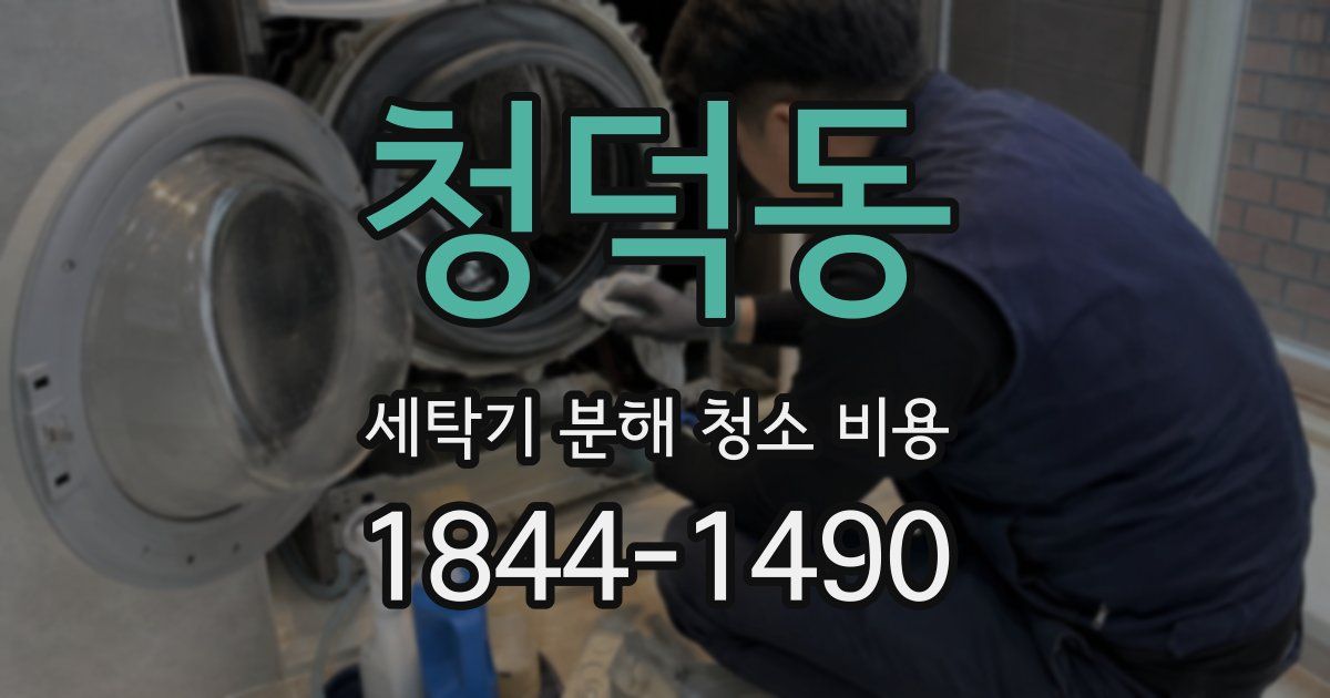 청덕동 세탁기 분해 청소 비용