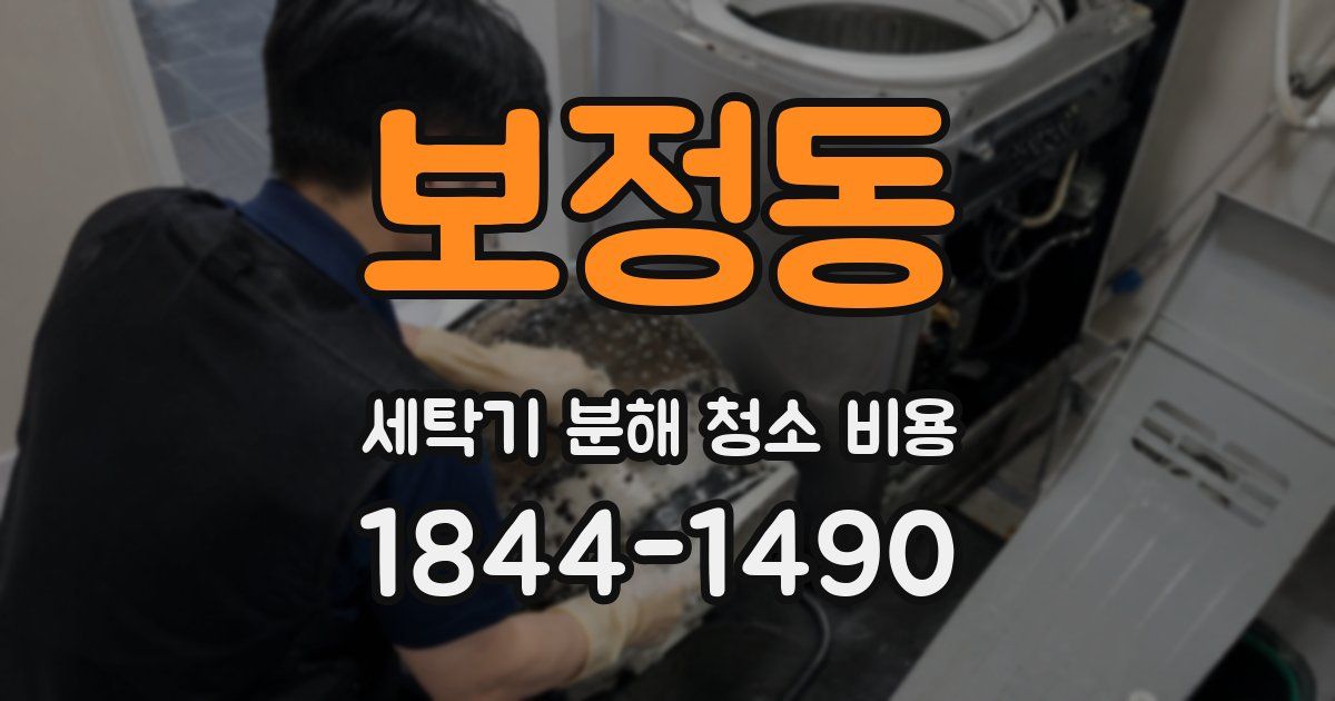 보정동 세탁기 분해 청소 비용