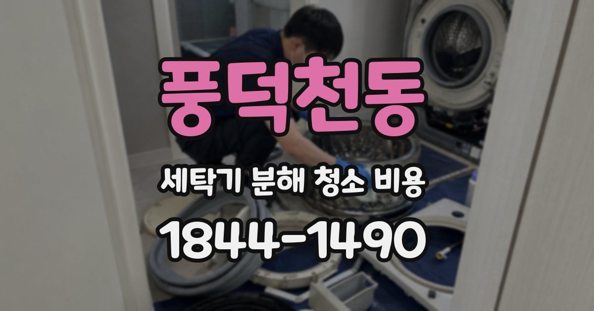 풍덕천동 세탁기 분해 청소 비용