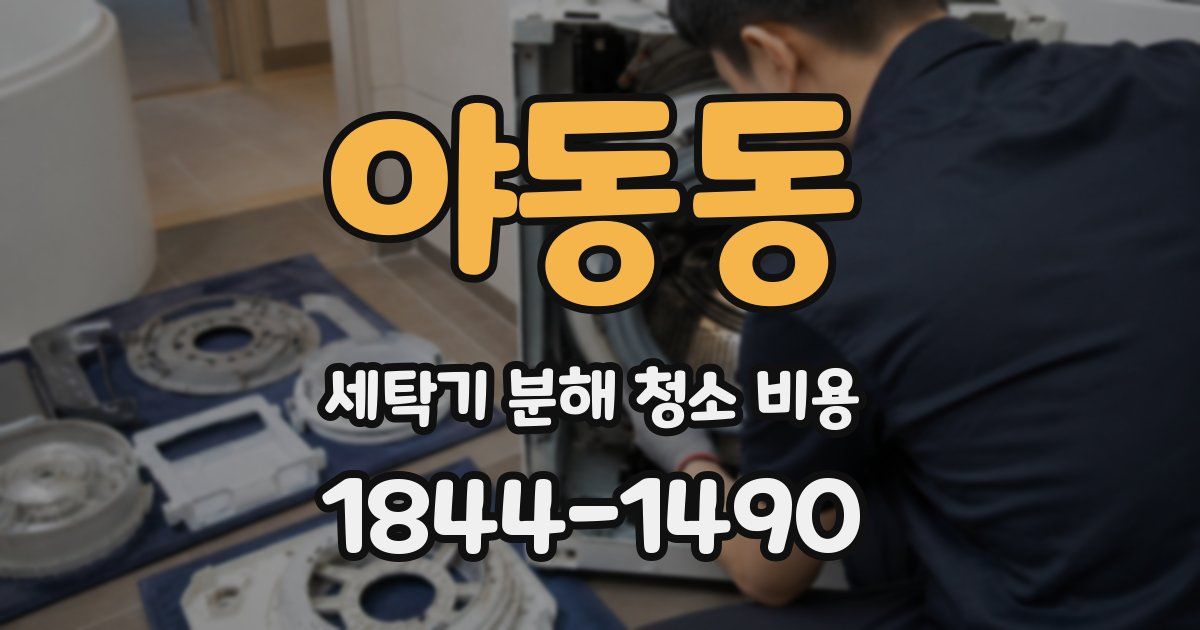 야동동 세탁기 분해 청소 비용
