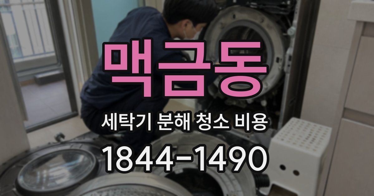 맥금동 세탁기 분해 청소 비용