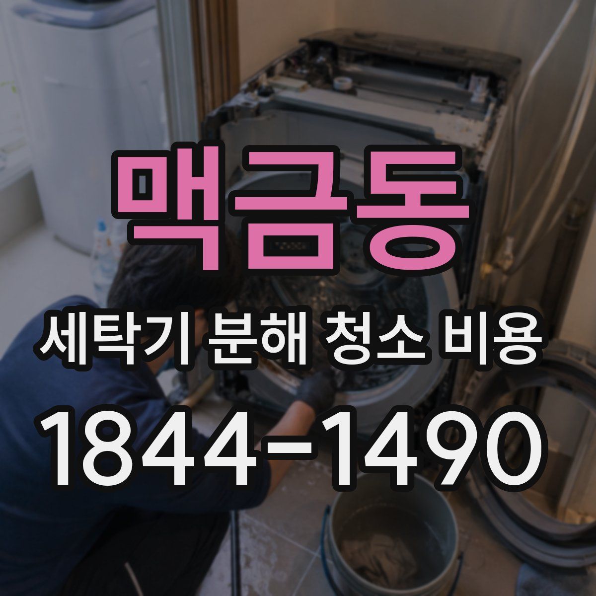맥금동 세탁기 분해 청소 비용
