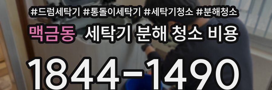 맥금동 세탁기 분해 청소 비용